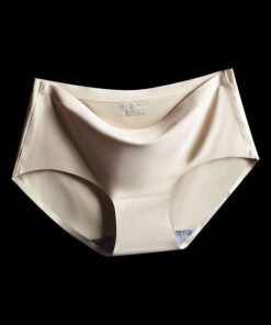 Ice Silk Panties For Women