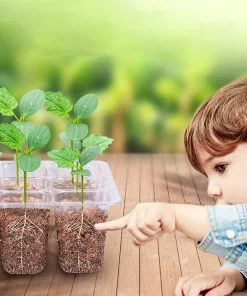 Seed Starting Trays with Grow Light