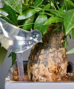 Glass Plant Watering Bulbs