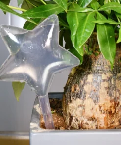 Glass Plant Watering Bulbs