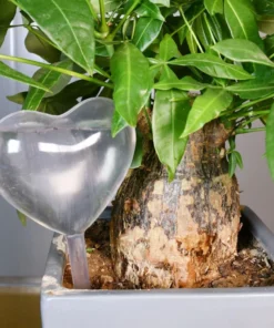 Glass Plant Watering Bulbs