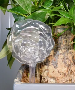 Glass Plant Watering Bulbs