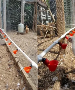 Automatic Chicken Water Cups For Buckets & PVC Pipes