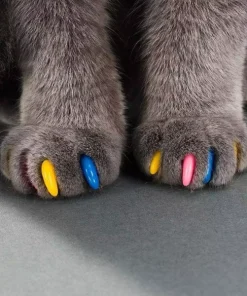Kitten Claw Nail Cover Caps