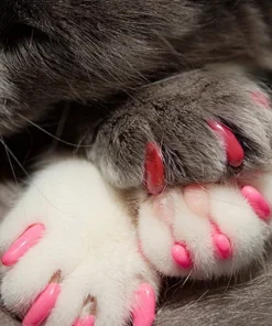 Kitten Claw Nail Cover Caps