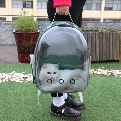 Cute Clear Cat Backpack Carrier