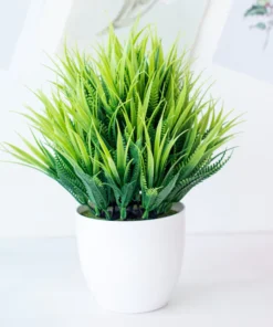 Potium Green Bonsai Small Tree Pot Plants