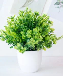 Potium Green Bonsai Small Tree Pot Plants