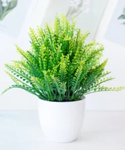 Potium Green Bonsai Small Tree Pot Plants