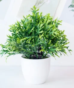 Potium Green Bonsai Small Tree Pot Plants