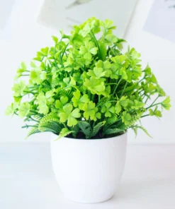 Potium Green Bonsai Small Tree Pot Plants