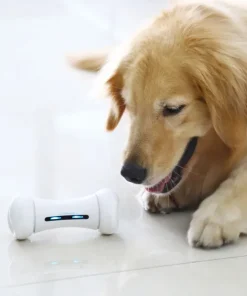 Petpetssmart Wickedbone