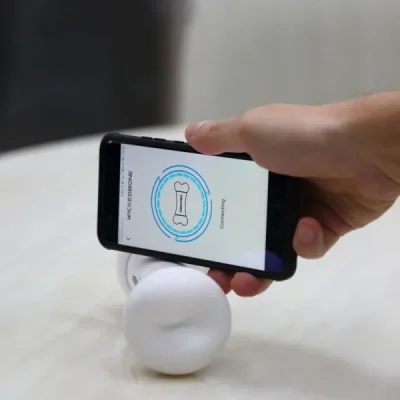 Petpetssmart Wickedbone