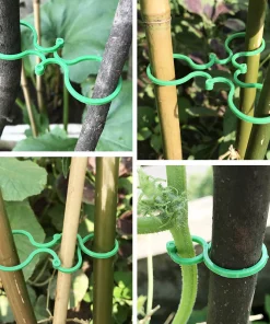 Garden Plant Holder (50PCS)