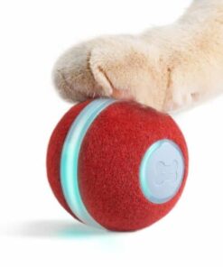Smart Interactive Cat Toy