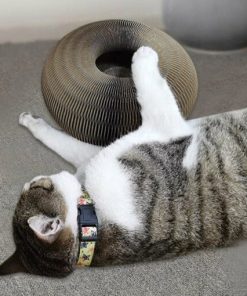 Magic Organ Cat Scratching Board