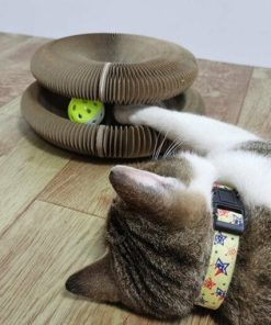 Magic Organ Cat Scratching Board