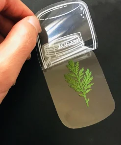 Transparent Dried Flower Bookmarks