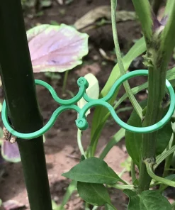 Garden Plant Holder (50PCS)