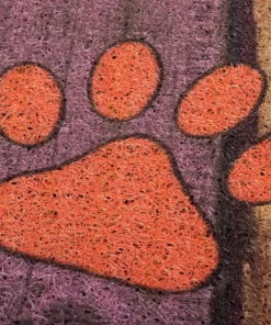 Colorful Funny Entrance Doormats