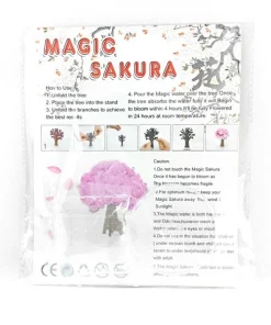 Coleus Bonsai Rainbow Dragon Cherry Blossom