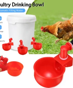 Automatic Poultry Waterer