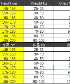 Becoming Bulletproof pdf Vest Clothes