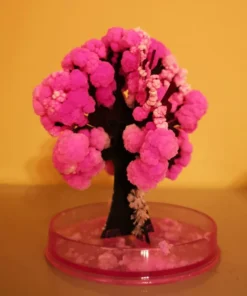 Coleus Bonsai Rainbow Dragon Cherry Blossom