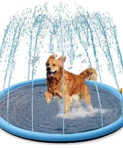 Dog Sprinkler Pool