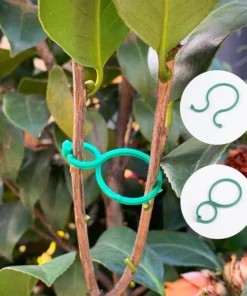 Garden Plant Holder (50PCS)