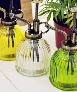 Glass Spray Bottle