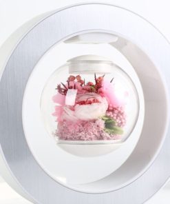 Magnetic Floating Immortal Flower Vase Lamp