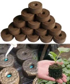 Peansea Cultivate Seed Migration Tool