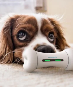 Petpetssmart Wickedbone