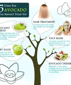 Avocado Tree Planter