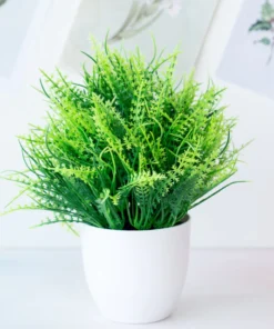 Potium Green Bonsai Small Tree Pot Plants