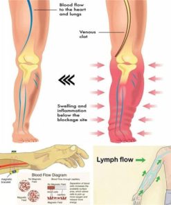 Lymph Detox Magnetic Bracelet