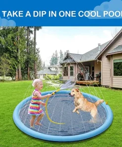 Dog Sprinkler Pool