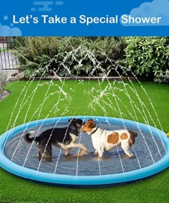 Dog Sprinkler Pool