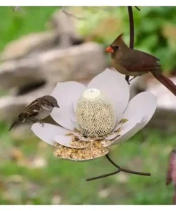 Metal Bird Feeder