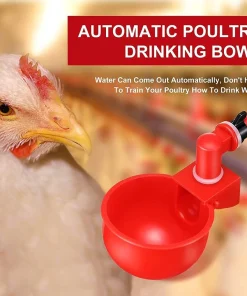 Automatic Poultry Waterer
