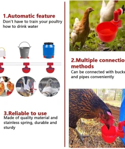 Automatic Poultry Waterer