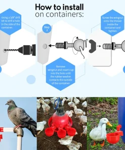 Automatic Poultry Waterer