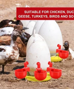 Automatic Poultry Waterer