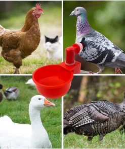 Automatic Poultry Waterer