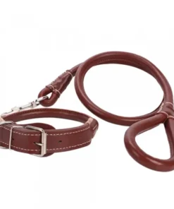 2-in-1 Rolled Leather Dog Collar & Leash