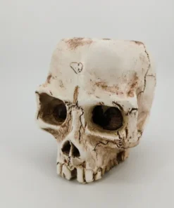 Shape Resin Skull Flower Pot