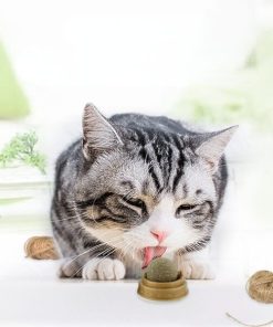 Catnip Ball Cat Toys