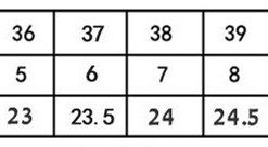 Women's Embroidered Low Heel Slip On Shoes