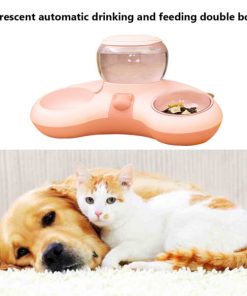Pet Automatic Feeder Bowl
